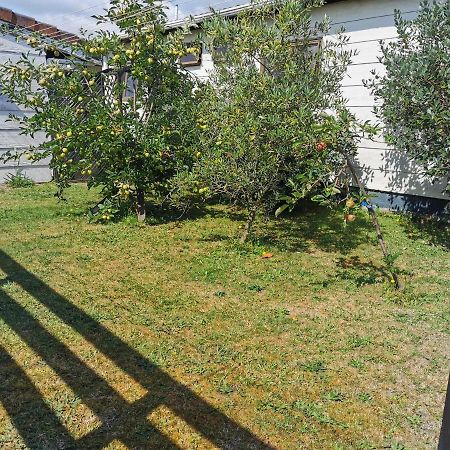 Gibson Court Motel Роторуа Екстер'єр фото